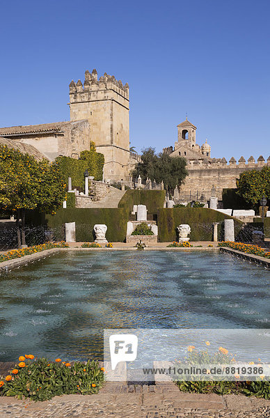 Gärten des Alcázar de los Reyes Cristianos  Córdoba  Andalusien  Spanien