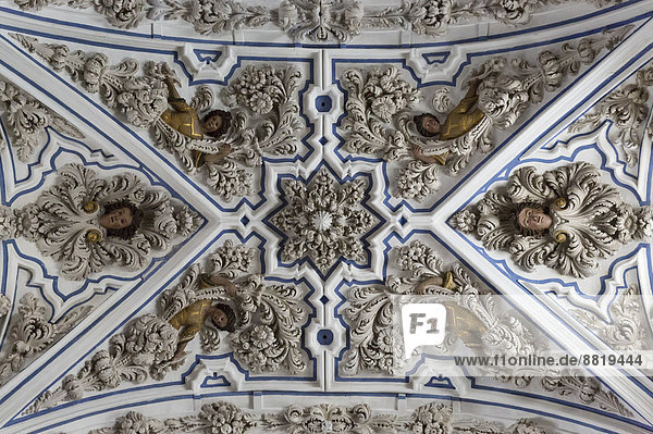 Üppige barocke Stuckarbeiten an der Decke der Aurora-Kirche  Priego de Córdoba  Provinz Córdoba  Andalusien  Spanien