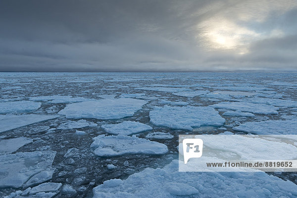 Eisschollen  Packeisgrenze  Arktischer Ozean  Insel Spitzbergen  Inselgruppe Spitzbergen  Svalbard und Jan Mayen  Norwegen