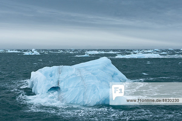 Eisberge treiben auf dem Meer vor Nordaustlandet  Spitzbergen Inselgruppe  Svalbard und Jan Mayen  Norwegen