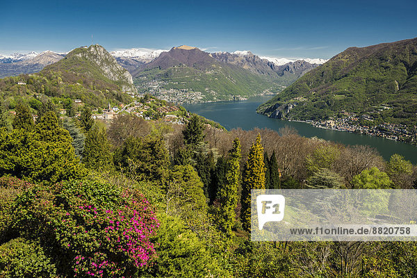 San Grato Botanic Park  Carona  near Lugano  Lake Lugano  Lago di Lugano  Canton Ticino  Switzerland