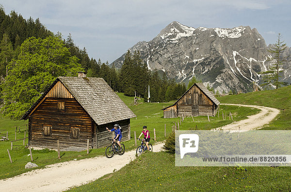 Mountain biker on a mountain pasture  Gesäuse region  Styria  Austria