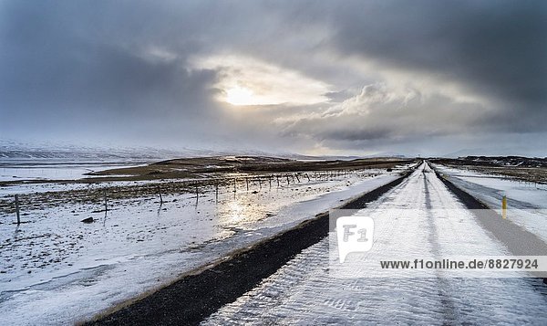 Europa  Winter  bedecken  Reinheit  Fernverkehrsstraße  Eis  glatt  Ausdauer  Februar  Island  Nordeuropa