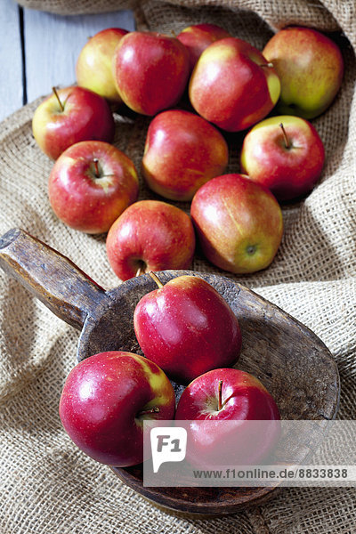 Braeburn apples on wooden shovel  jute and grey wooden table  elevated view