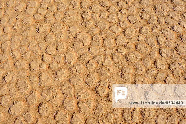 Algeria  Tassili n Ajjer  Sahara  surface of a salt and clay pan  close-up