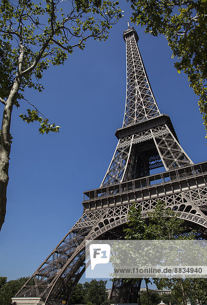 France  Paris  Eiffel tower