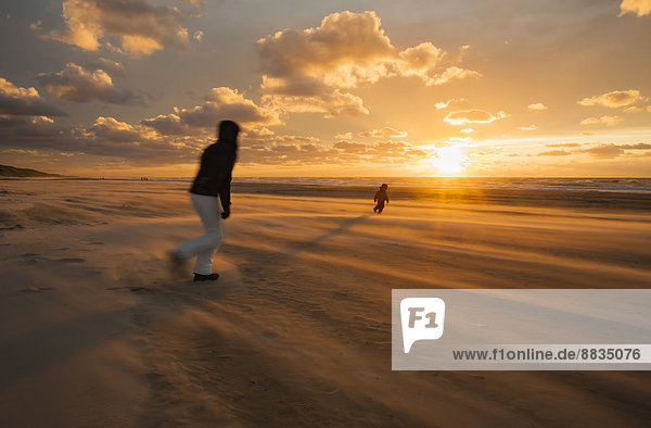 Dänemark  Jütland  Lokken  Mutter versucht  ihr Kind am stürmischen Strand bei Sonnenuntergang zu fangen.