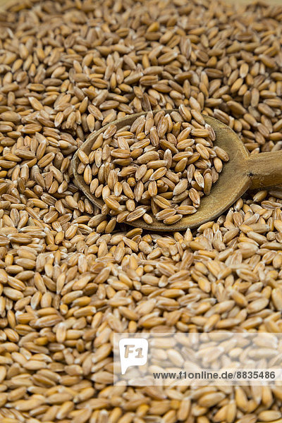 Spelt grains and wooden spoon  partial view