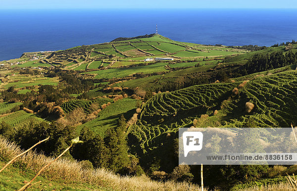Portugal  Azoren  Sao Miguel  Blick von Caldeira das Sete Cidades zur Atlantikküste