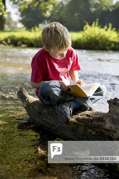 Boy sitting on dead wood at brook reading a book