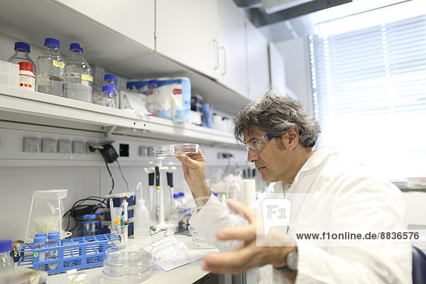 Germany  Freiburg  Scientist in laboratory evaluating samples