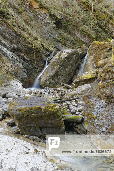 Österreich  Vorarlberg  Götzis  Oerfla-Schlucht'Oerflaschlucht'  Wasserfall