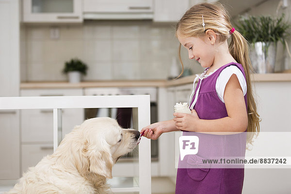 Kleines Mädchen füttert Hund mit Joghurt