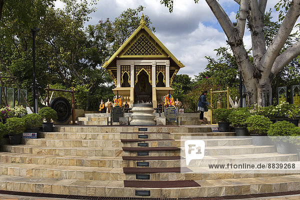 Treppenaufgang zum Sarn Tay Pa Ruk  Elefant-Schrein  Udon Thani  Isan  Thailand