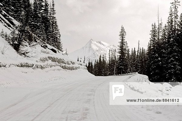 A winter snow covered part of the Maligne lake road in Jasper National Park Alberta Canada.