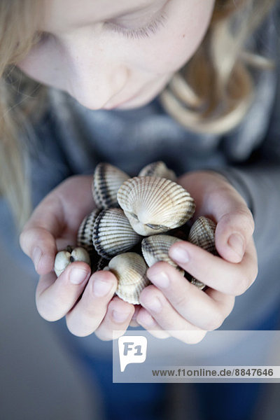 High angle view of girl holding seashells