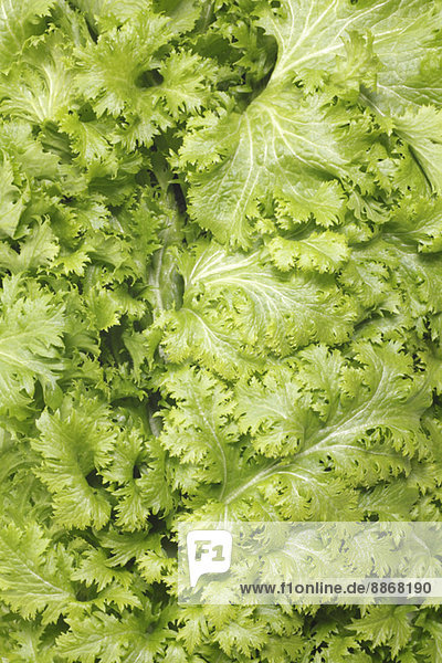 Wasabi Greens