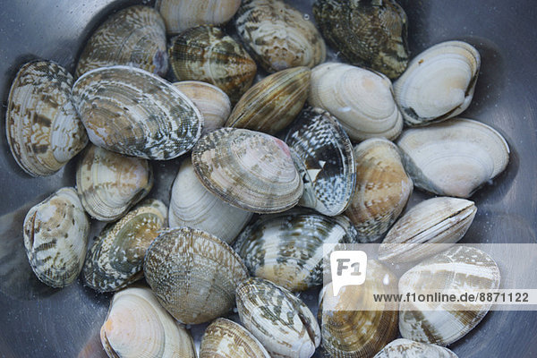 Vongole clams