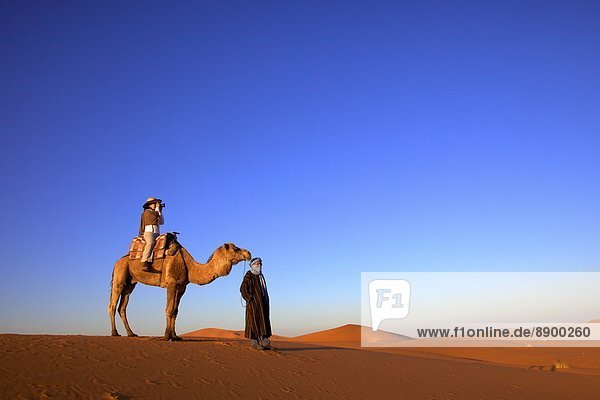 Nordafrika  Afrika  Marokko
