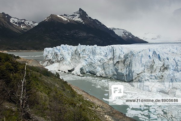 Gletscher  UNESCO-Welterbe  Argentinien  Patagonien  Südamerika