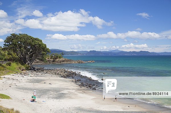 Kuaotunu beach  Coromandel Peninsula  Waikato  North Island  New Zealand  Pacific