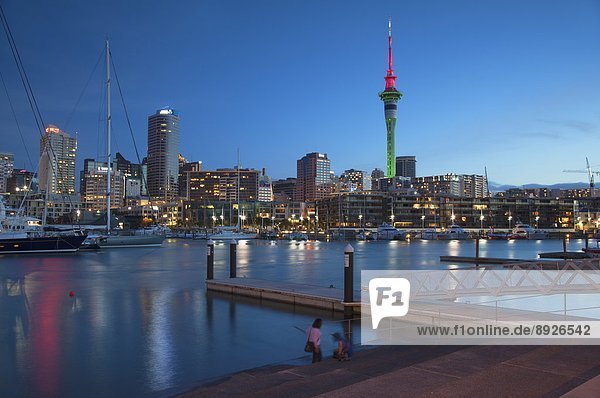 Viaduct Harbour and Sky Tower at dusk  Auckland  North Island  New Zealand  Pacific