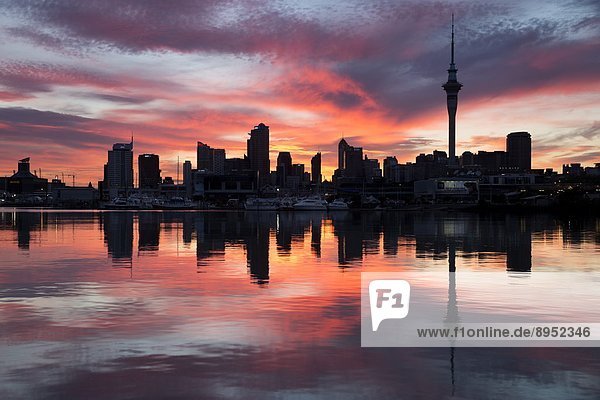 Himmel  Morgendämmerung  Großstadt  Turm  Jachthafen  Pazifischer Ozean  Pazifik  Stiller Ozean  Großer Ozean  neuseeländische Nordinsel  Auckland  Neuseeland