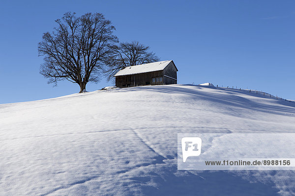 Bauernhaus Winter bedecken Hügel Schnee Schweiz