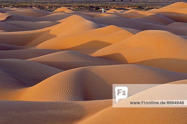 Sanddünen der Wüste Rimal Al Wahiba oder Wahiba Sands  auch Ramlat al-Wahiba oder Scharqiyya Sands  im Abendlicht  Hawiyah  Provinz Asch-Scharqiyya  Oman
