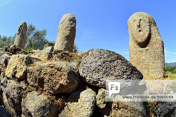 Menhirstatuen  Filitosa IX  Megalithkultur  Filitosa  Korsika  Frankreich