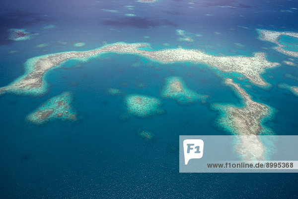 Aerial view  coral reef  Pacific Ocean  Palau