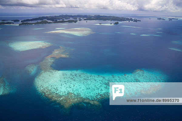 Aerial view  coral reef  Pacific Ocean  Palau