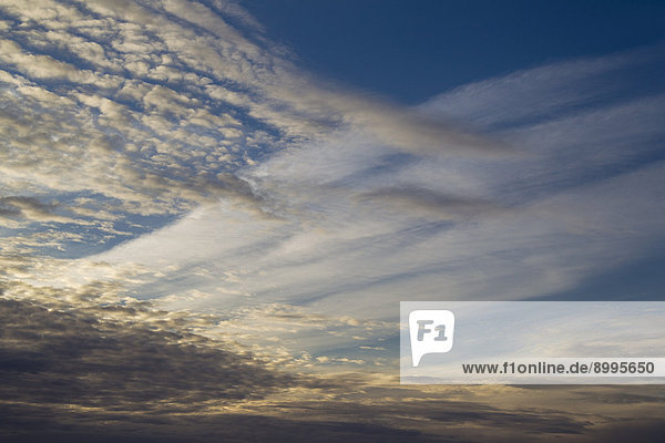 Cirrus-Wolken und Altocumulus-Wolken am Abend  Andalusien  Spanien