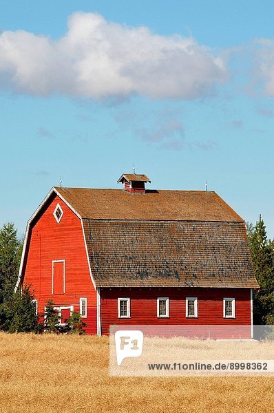 A horozontal winter scenic of a red barn in rural Alberta Canada.