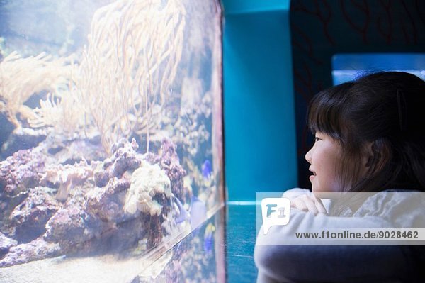 Girl admiring sea life in aquarium