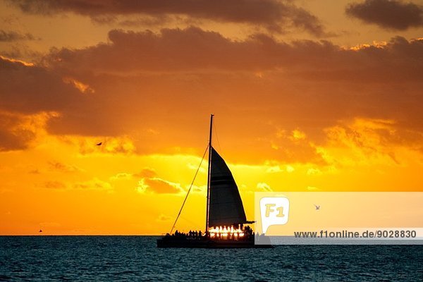 Sunset Cruise  Key West.