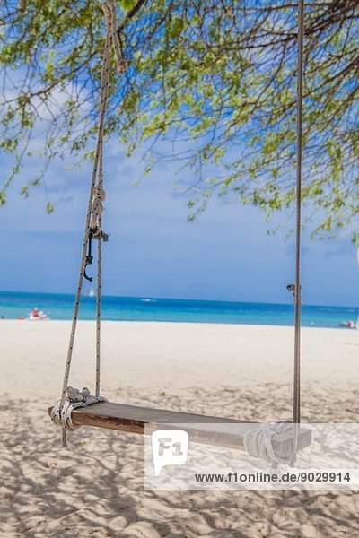 Tree swing on Palm Beach  Aruba  Lesser Antilles  Caribbean