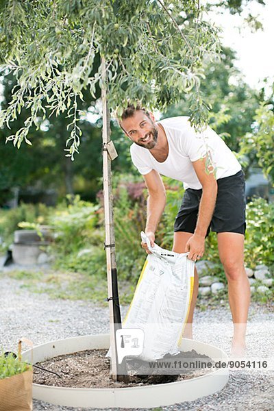 Mid adult man putting soil under lavender plant  Sweden