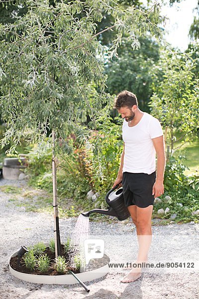 Man watering plants in garden  Stockholm  Sweden