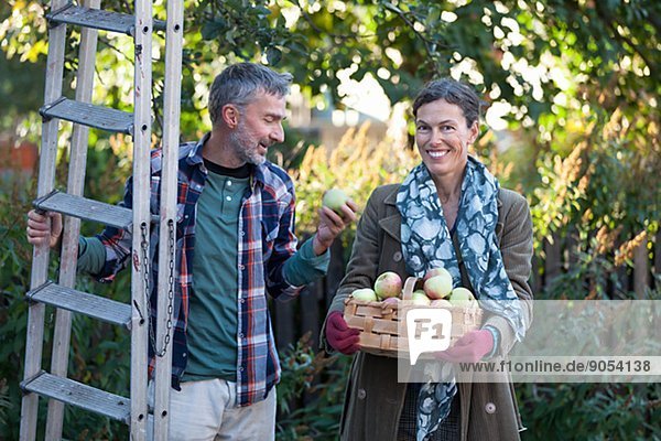 Mature couple with apples in basket  Stockholm  Sweden