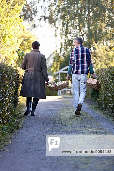 Couple with basket full of apples  Stockholm  Sweden