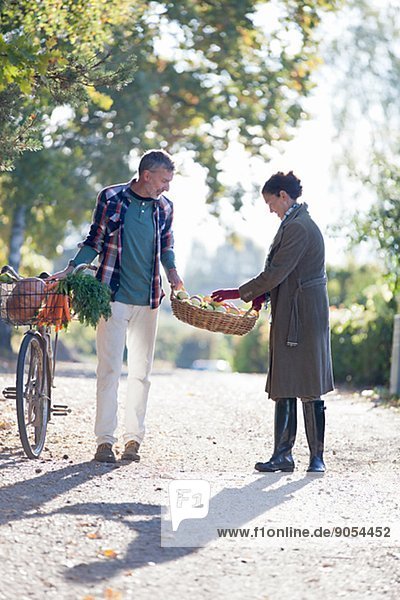Mature couple with basket full of apples  Stockholm  Sweden