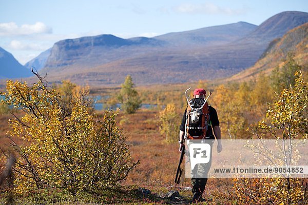 Man hunting  Nikkaluokta  Norrbotten  Lapland  Sweden
