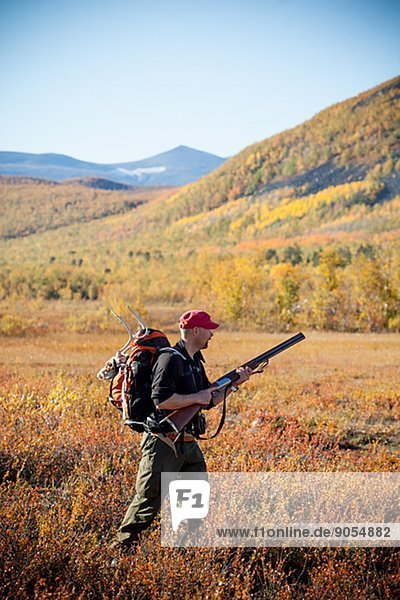 Man hunting  Nikkaluokta  Norrbotten  Lapland  Sweden