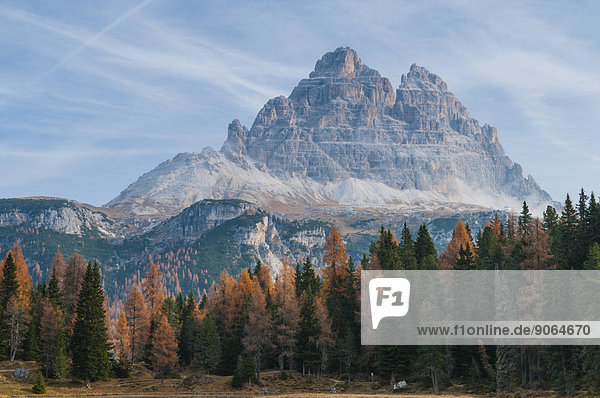 Drei Zinnen oder Tre Cime di Lavaredo  Naturpark Drei Zinnen  Dolomiten  Südtirol  Italien