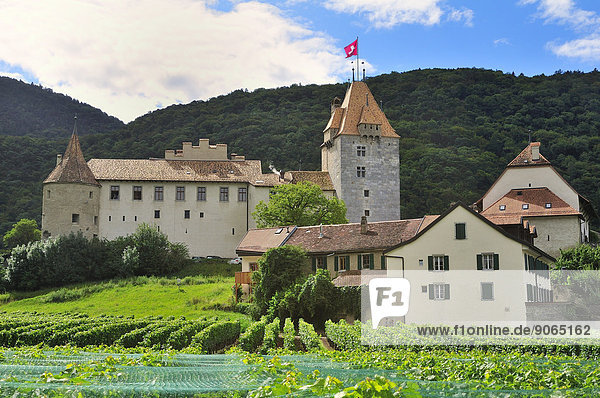 Palast Schloß Schlösser Weinberg Aigle Schweiz Kanton Waadt