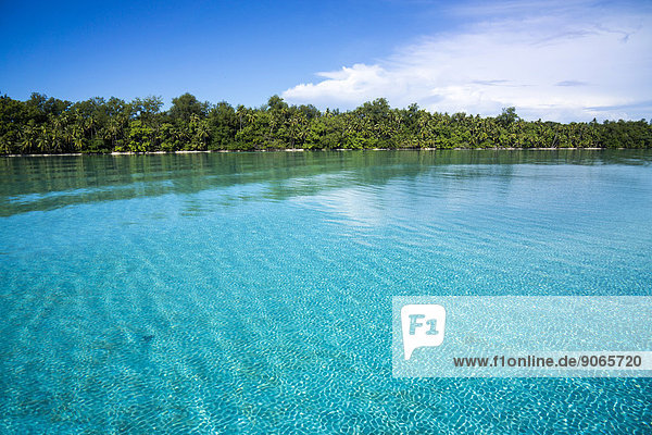 Insel  Palau  Mikronesien