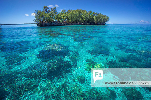 Insel  Palau  Mikronesien