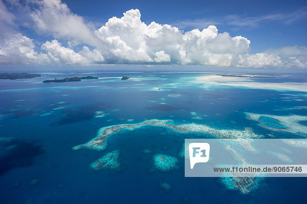 Rock Islands  Inselparadies Palau  Mikronesien