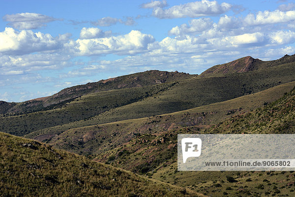 Landschaft im Mountain-Zebra-Nationalpark  Ostkap  Südafrika